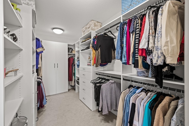 16830 59th Ave N, Plymouth, MN 55446 - spacious closet with light colored carpet
