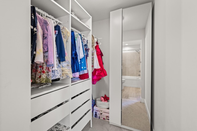 16830 59th Ave N, Plymouth, MN 55446 - spacious closet featuring carpet