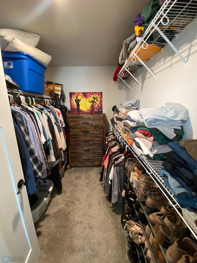 1819 67th Ave S, Fargo, ND 58104 - spacious closet featuring carpet floors