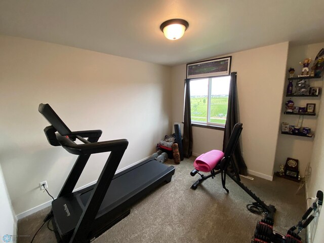 1819 67th Ave S, Fargo, ND 58104 - exercise area featuring carpet and baseboards