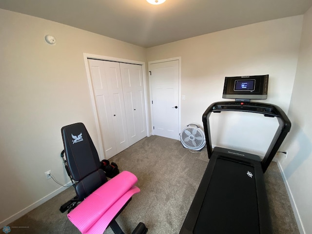 1819 67th Ave S, Fargo, ND 58104 - exercise room featuring carpet floors