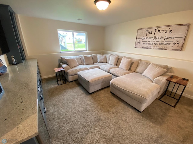 1819 67th Ave S, Fargo, ND 58104 - living room with carpet floors