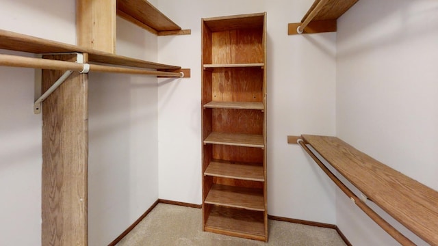 1930 Wilby Rd, Albert Lea, MN 56007 - walk in closet featuring carpet floors