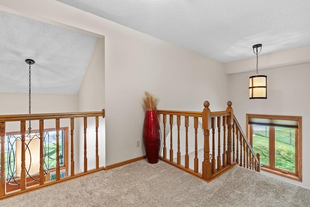 14000 96th Ave N, Maple Grove, MN 55369 - photo 22
