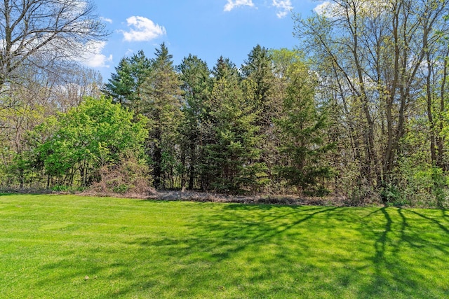 14000 96th Ave N, Maple Grove, MN 55369 - photo 44
