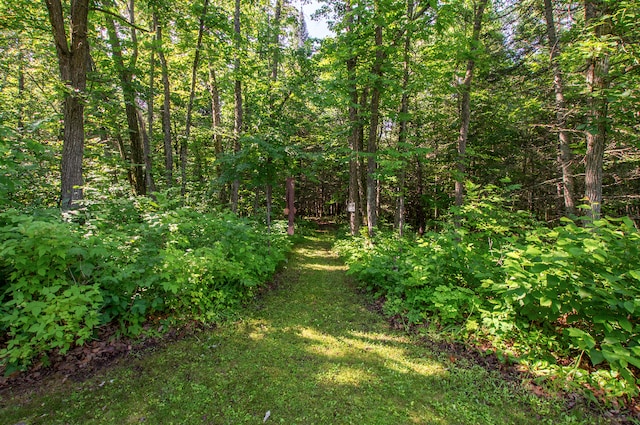 31759 County 30, Laporte, MN 56461 - view of wooded area