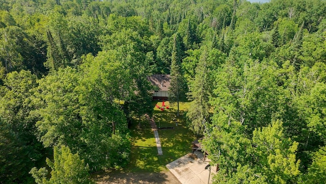 31759 County 30, Laporte, MN 56461 - bird's eye view of a forest