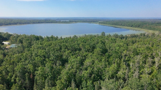 31759 County 30, Laporte, MN 56461 - bird's eye view of a forest and a nearby body of water