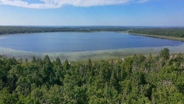 31759 County 30, Laporte, MN 56461 - water view featuring a heavily wooded area