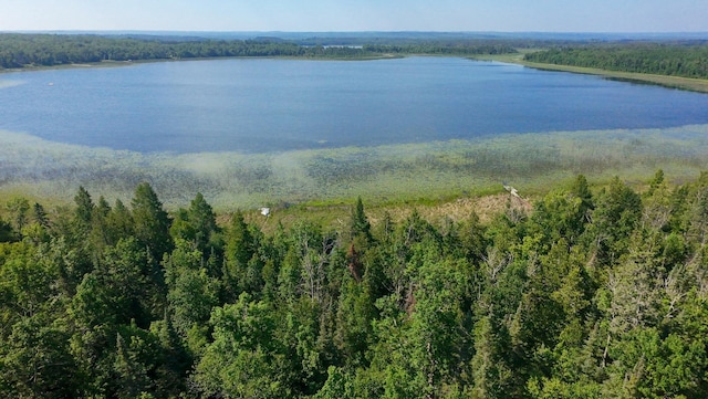 31759 County 30, Laporte, MN 56461 - water view with a heavily wooded area