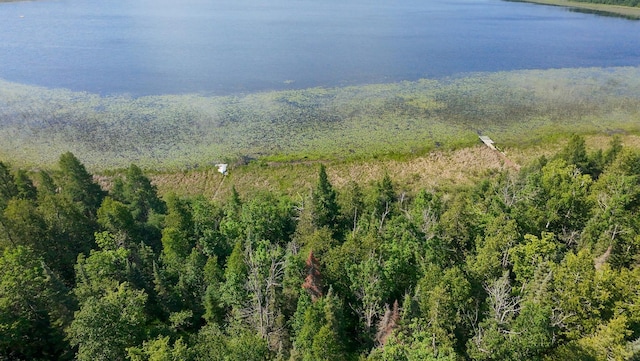 31759 County 30, Laporte, MN 56461 - mountain view featuring a nearby body of water and a forest