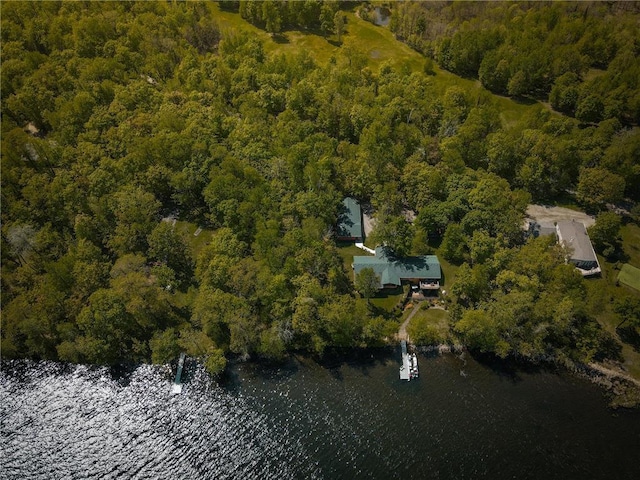 7310 Moose Lake Rd NE, Blackduck, MN 56630 - aerial view of property's location featuring a nearby body of water and a forest