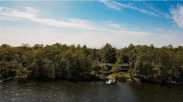 7310 Moose Lake Rd NE, Blackduck, MN 56630 - water view with a heavily wooded area