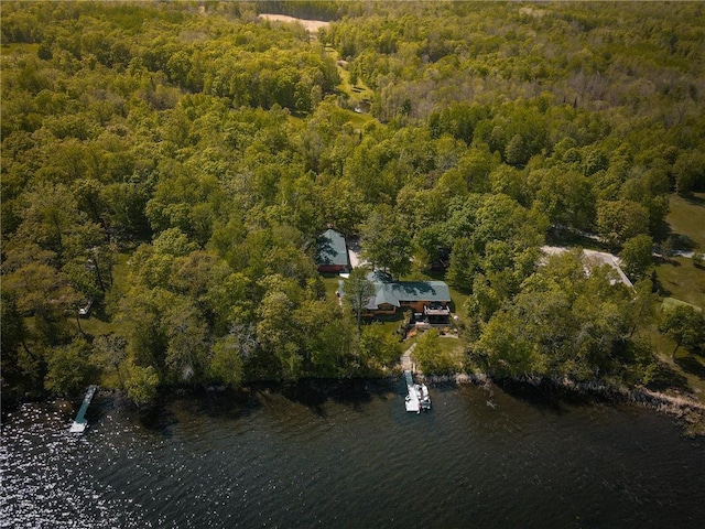 7310 Moose Lake Rd NE, Blackduck, MN 56630 - view of property location with a heavily wooded area and a nearby body of water