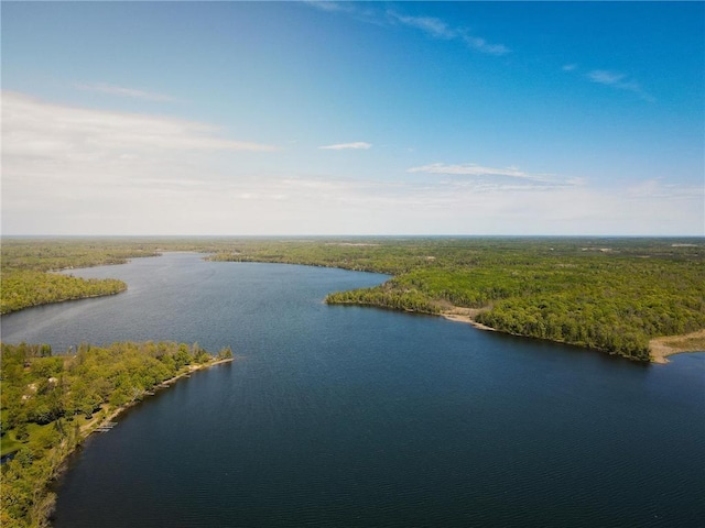 7310 Moose Lake Rd NE, Blackduck, MN 56630 - water view with a heavily wooded area