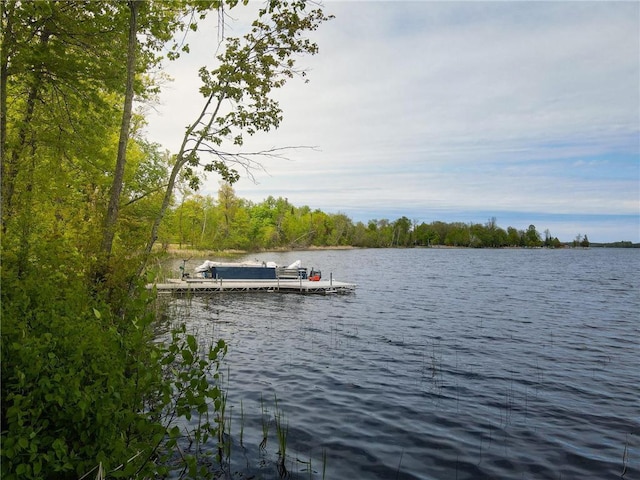 7310 Moose Lake Rd NE, Blackduck, MN 56630 - dock area with a water view