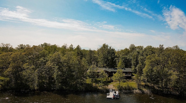7310 Moose Lake Rd NE, Blackduck, MN 56630 - water view featuring a forest