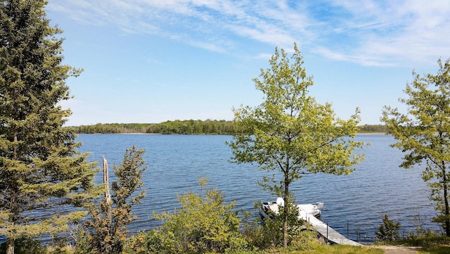 7310 Moose Lake Rd NE, Blackduck, MN 56630 - water view featuring a boat dock
