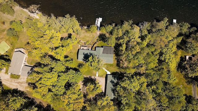 7310 Moose Lake Rd NE, Blackduck, MN 56630 - aerial view