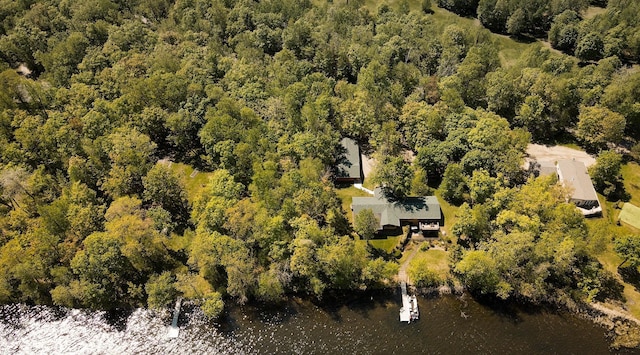 7310 Moose Lake Rd NE, Blackduck, MN 56630 - aerial view of property and surrounding area with a nearby body of water and a forest