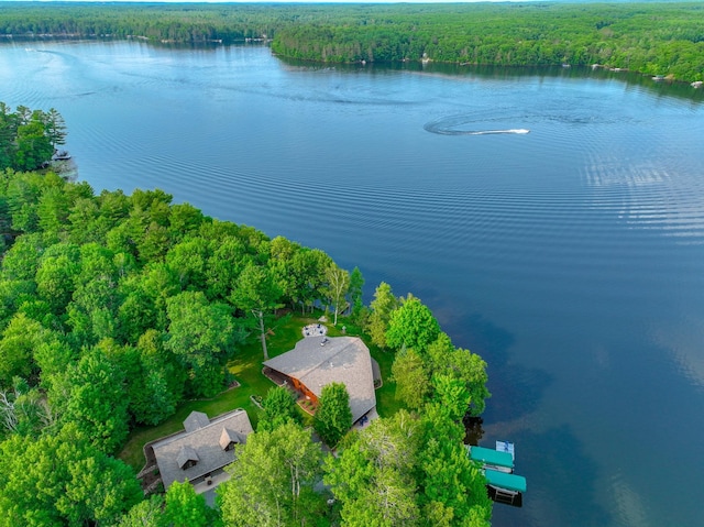 16267 Conners Ln, Sand Lake Twp, WI 54876 - bird's eye view of a nearby body of water