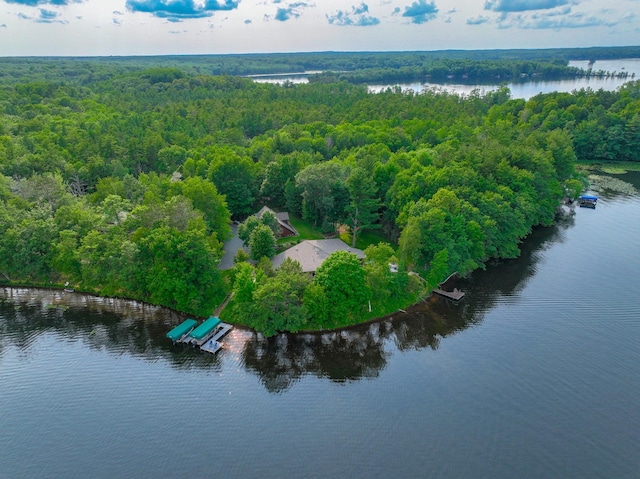 16267 Conners Ln, Sand Lake Twp, WI 54876 - bird's eye view of a heavily wooded area and a large body of water