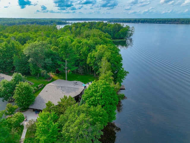 16267 Conners Ln, Sand Lake Twp, WI 54876 - drone / aerial view of a large body of water