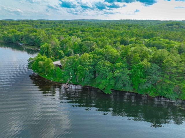 16267 Conners Ln, Sand Lake Twp, WI 54876 - aerial view of property and surrounding area with a large body of water