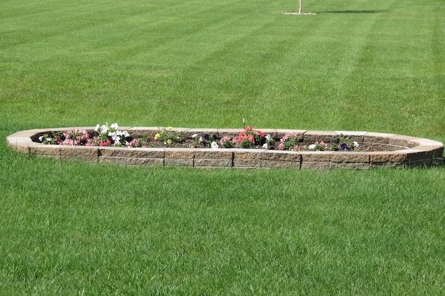 307 14th St N, Cold Spring, MN 56320 - view of green lawn