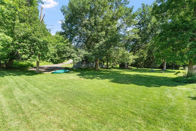 20592 Lehmicke Ln, Trade Lake, WI 54853 - view of grassy yard