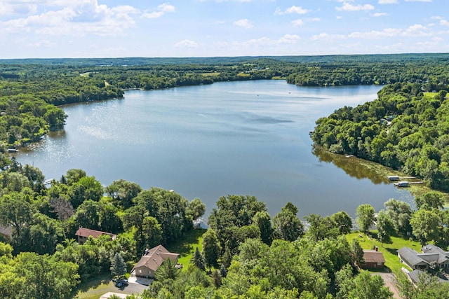 20592 Lehmicke Ln, Trade Lake, WI 54853 - bird's eye view of a forest and a large body of water