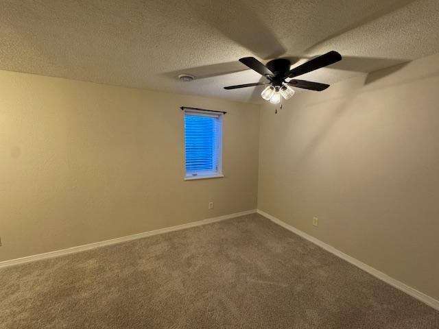 313 Ravilla Ave, Staples, MN 56479 - photo 41