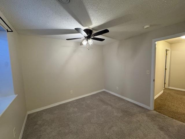 313 Ravilla Ave, Staples, MN 56479 - photo 42