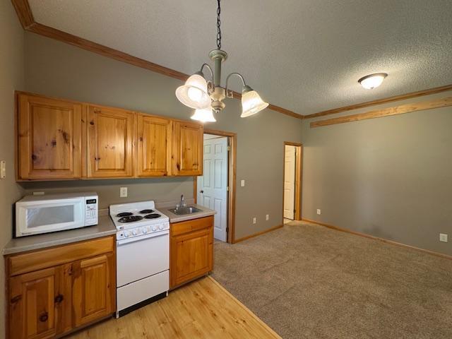 313 Ravilla Ave, Staples, MN 56479 - photo 53