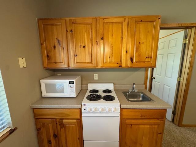 313 Ravilla Ave, Staples, MN 56479 - photo 55