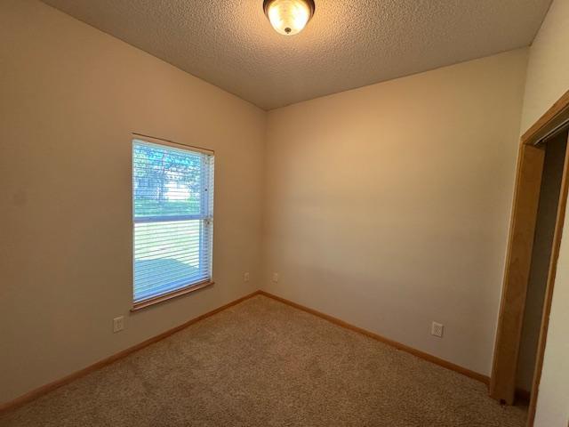 313 Ravilla Ave, Staples, MN 56479 - photo 56