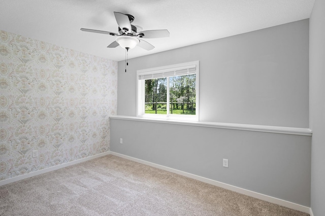 1752 209th Ave NE, East Bethel, MN 55011 - photo 36
