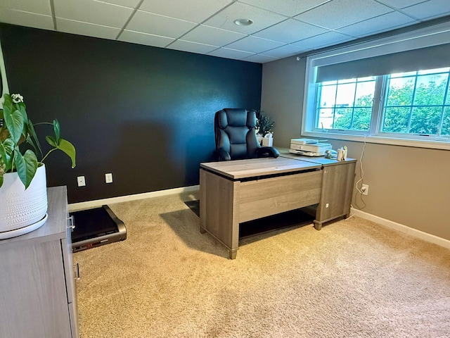 3008 Pinewood Ln NE, Alexandria, MN 56308 - photo 45