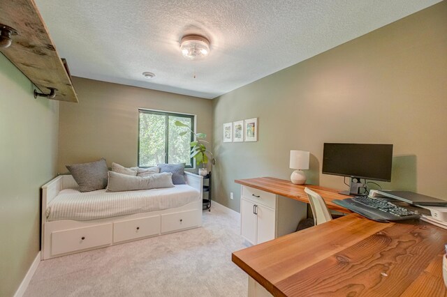 21 Windsor Wood Path, Hudson, WI 54016 - bedroom with an office area, light carpet, and a textured ceiling