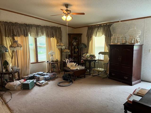 527 S St E, Litchfield, MN 55355 - photo 2
