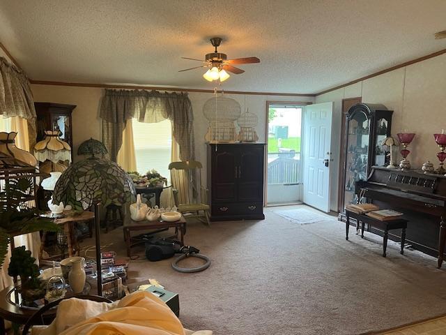 527 S St E, Litchfield, MN 55355 - photo 3