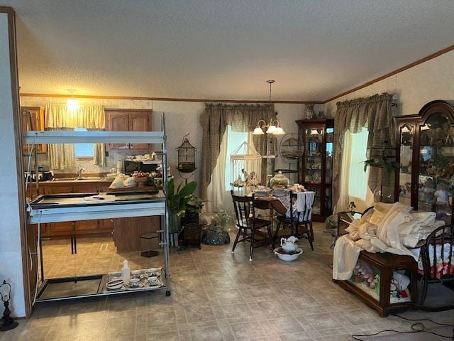 527 S St E, Litchfield, MN 55355 - photo 4