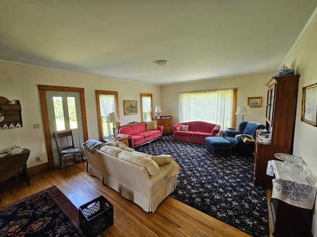 86389 245th St, Albert Lea, MN 56007 - living area featuring hardwood / wood-style floors and crown molding