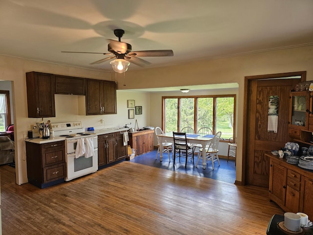 86389 245th St, Albert Lea, MN 56007 - kitchen with white range with electric cooktop, ceiling fan, dark brown cabinetry, dark wood-style flooring, and light countertops