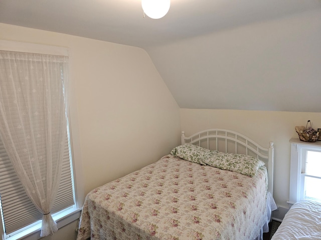 86389 245th St, Albert Lea, MN 56007 - bedroom with vaulted ceiling
