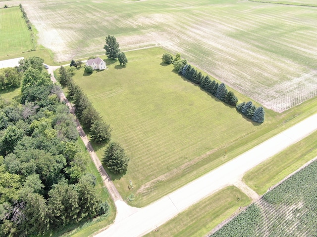 86389 245th St, Albert Lea, MN 56007 - overview of rural landscape featuring rows of crops