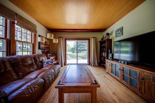 37437 State Highway 7, Big Stone Twp, MN 56278 - living room with wooden ceiling and wood-type flooring