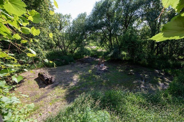 37437 State Highway 7, Big Stone Twp, MN 56278 - view of yard