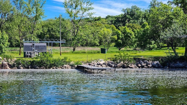 37437 State Highway 7, Big Stone Twp, MN 56278 - water view with a dock