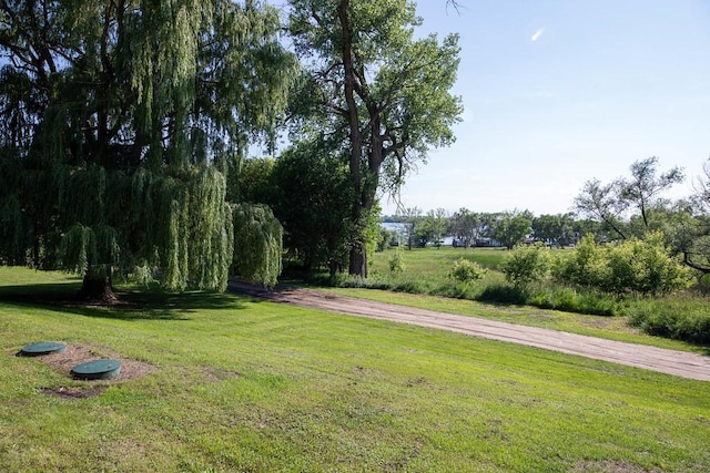 37437 State Highway 7, Big Stone Twp, MN 56278 - view of grassy yard